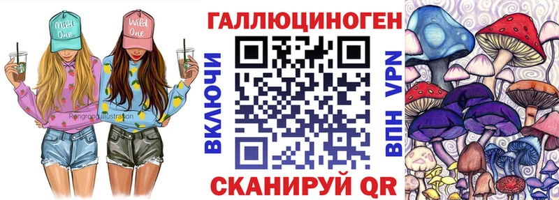 MEGA ТОР  Волхов  Галлюциногенные грибы Psilocybe 
